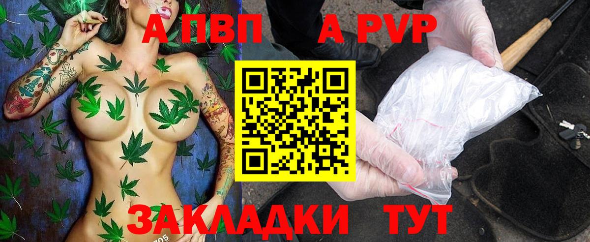 Альфа ПВП СК КРИС Моздок